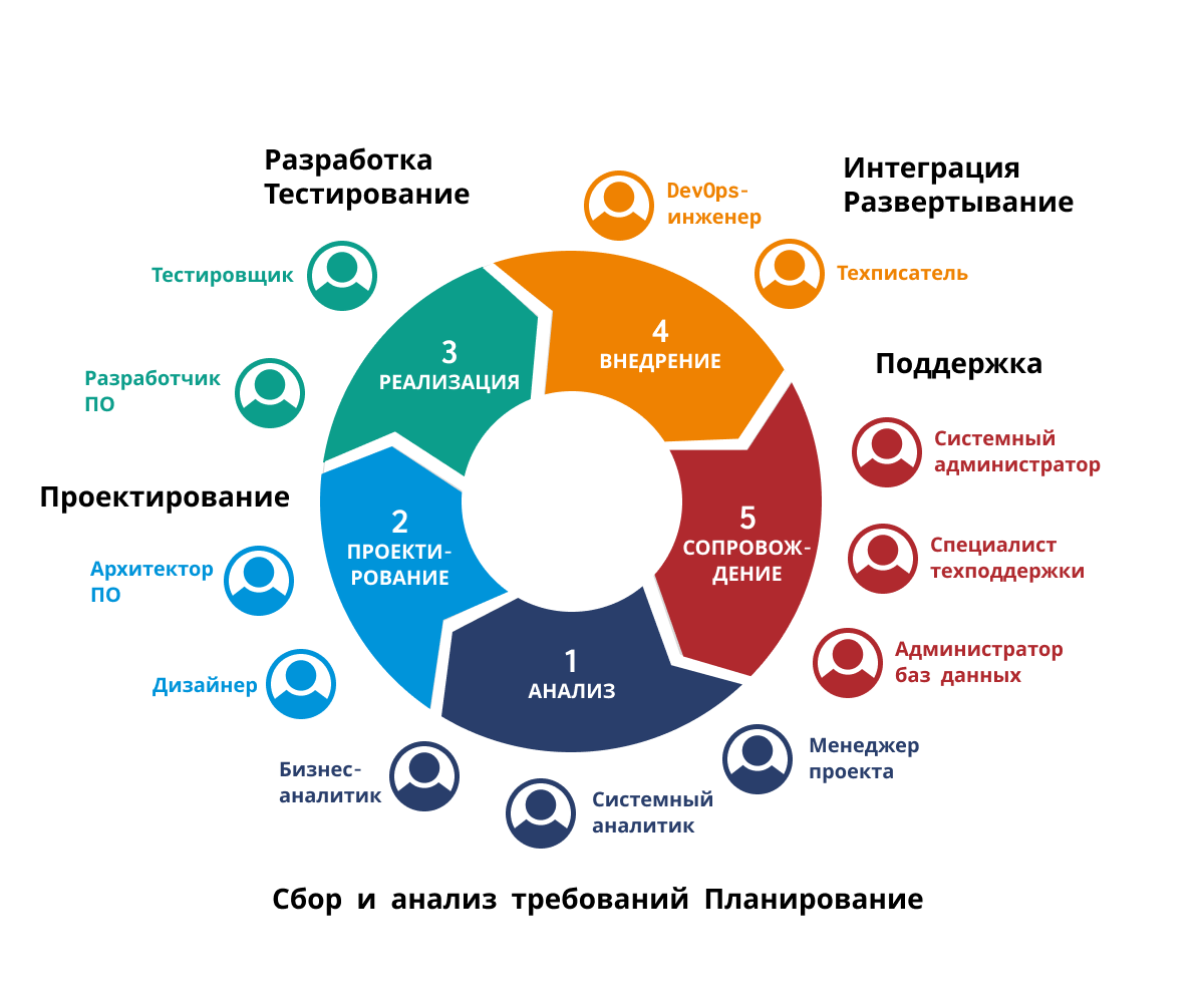 Жизненный цикл разработки ПО и профессии
